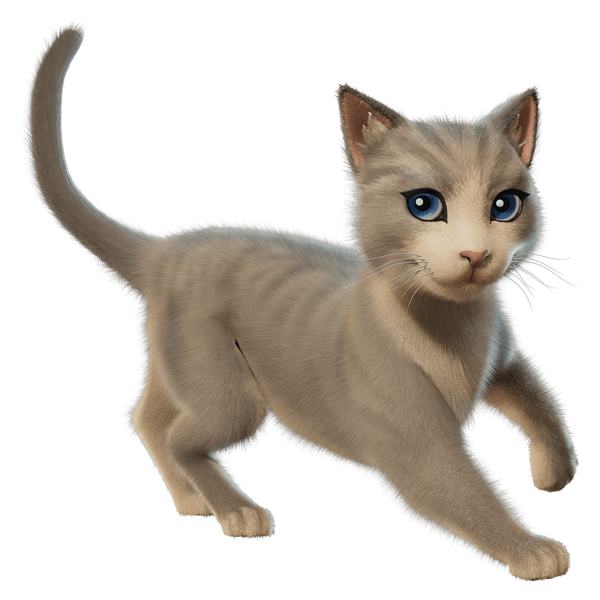 The Best Cat